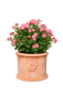 Preview: Pot de fleurs en terre cuite d’Impruneta - Cilindro 3 rose